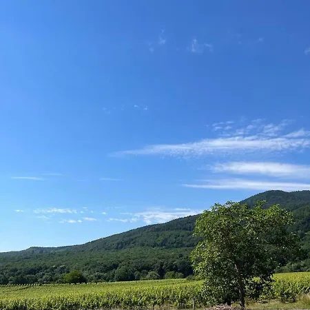 Casa de Férias La Perle D'alsace Bernardswiller