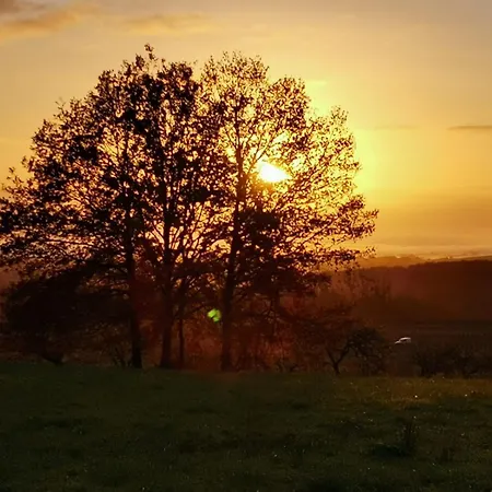 Casa de Férias La Perle D'alsace