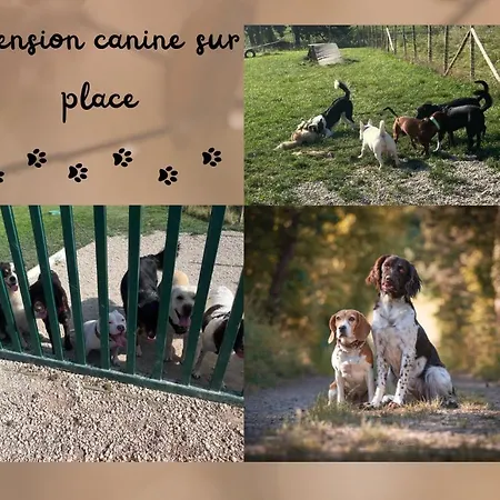 Feriehus La Perle D'alsace *