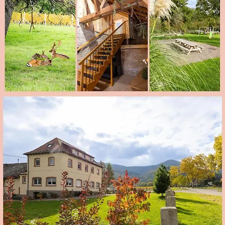 Hébergement de vacances La Perle D’alsace *
